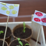 Kreatywne ogrodnictwo czyli warzywa na balkonie